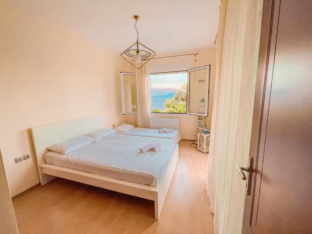 Dream Villa PalaiónTsiflíkion エクステリア 写真