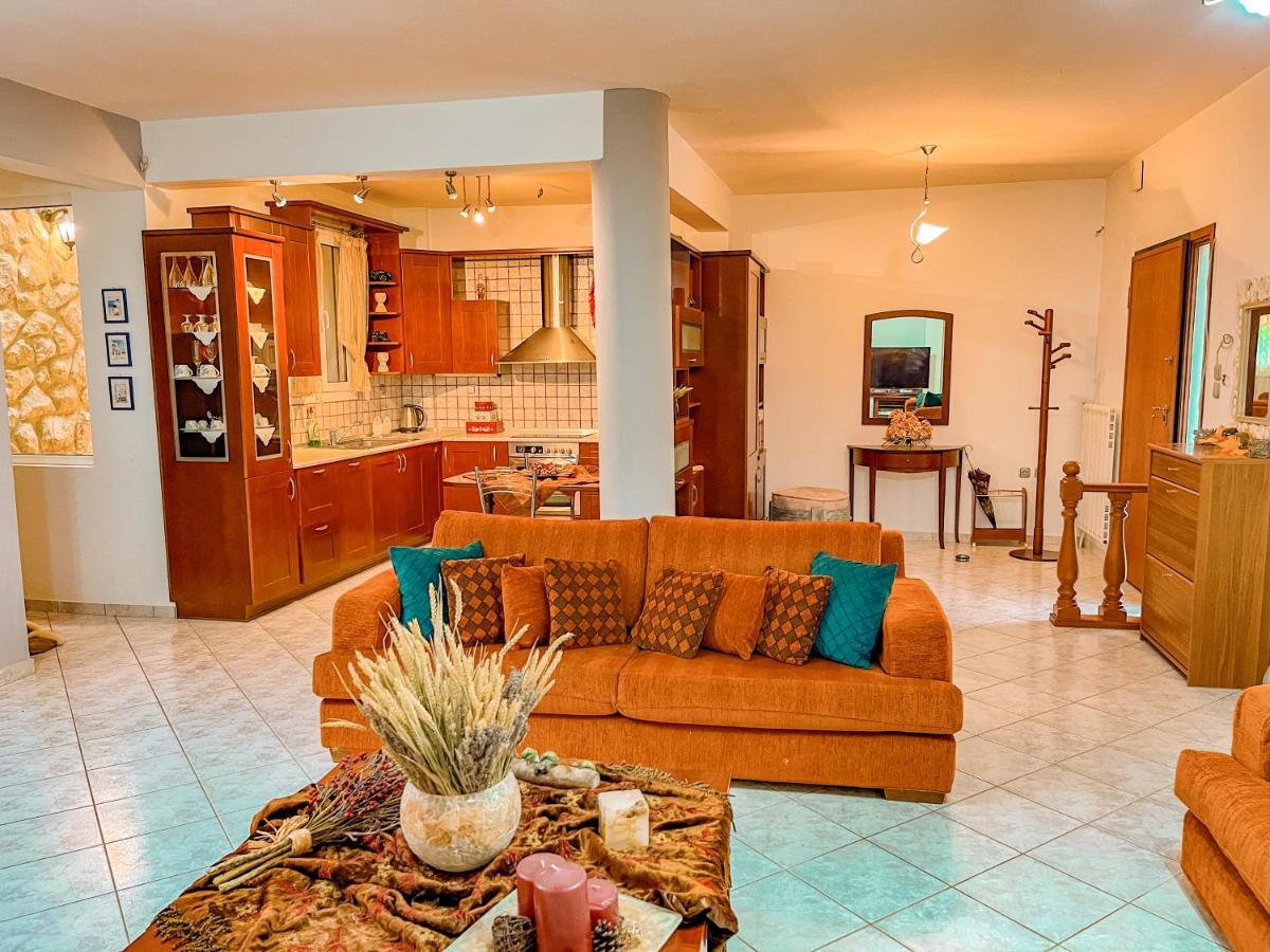 Dream Villa PalaiónTsiflíkion エクステリア 写真