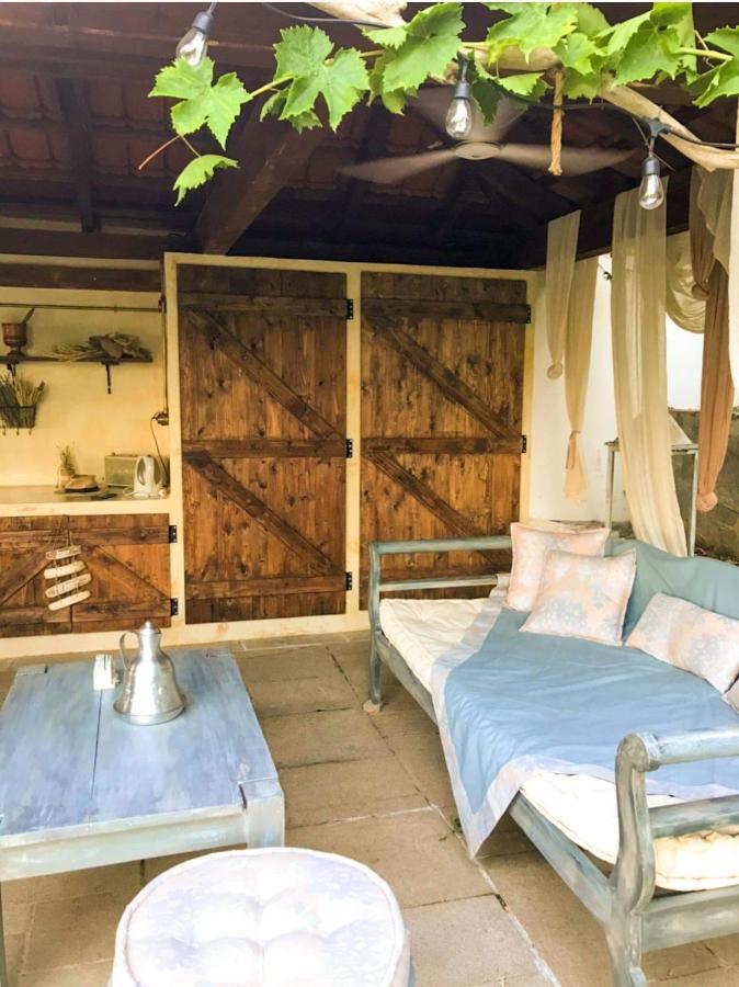 Dream Villa PalaiónTsiflíkion エクステリア 写真